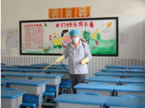 大連地區(qū)專業(yè)蟲(chóng)害防治與教育咨詢服務(wù)指南